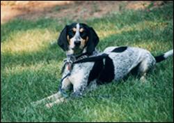 Click to view exif information